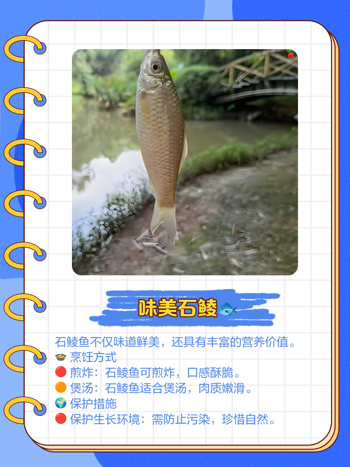 钓鲮鱼最佳拉饵料配方(钓鲻鱼的饵料)