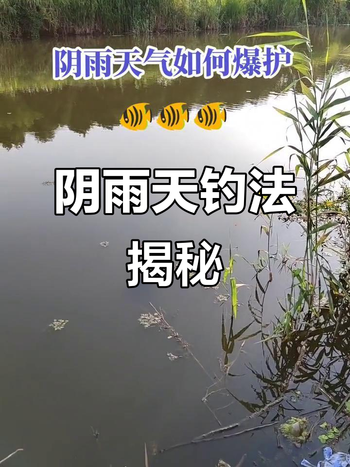 夜钓下雨天钓鱼技巧(夜钓下雨天钓鱼技巧和方法)