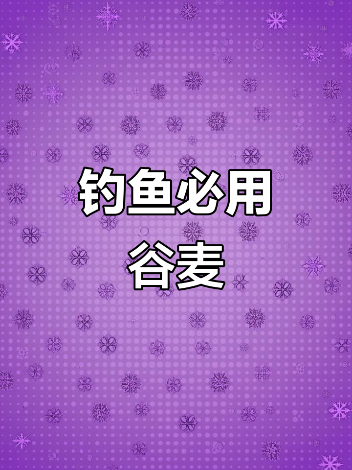 谷麦鲤鱼技巧(野钓鲤鱼制作谷麦方法)