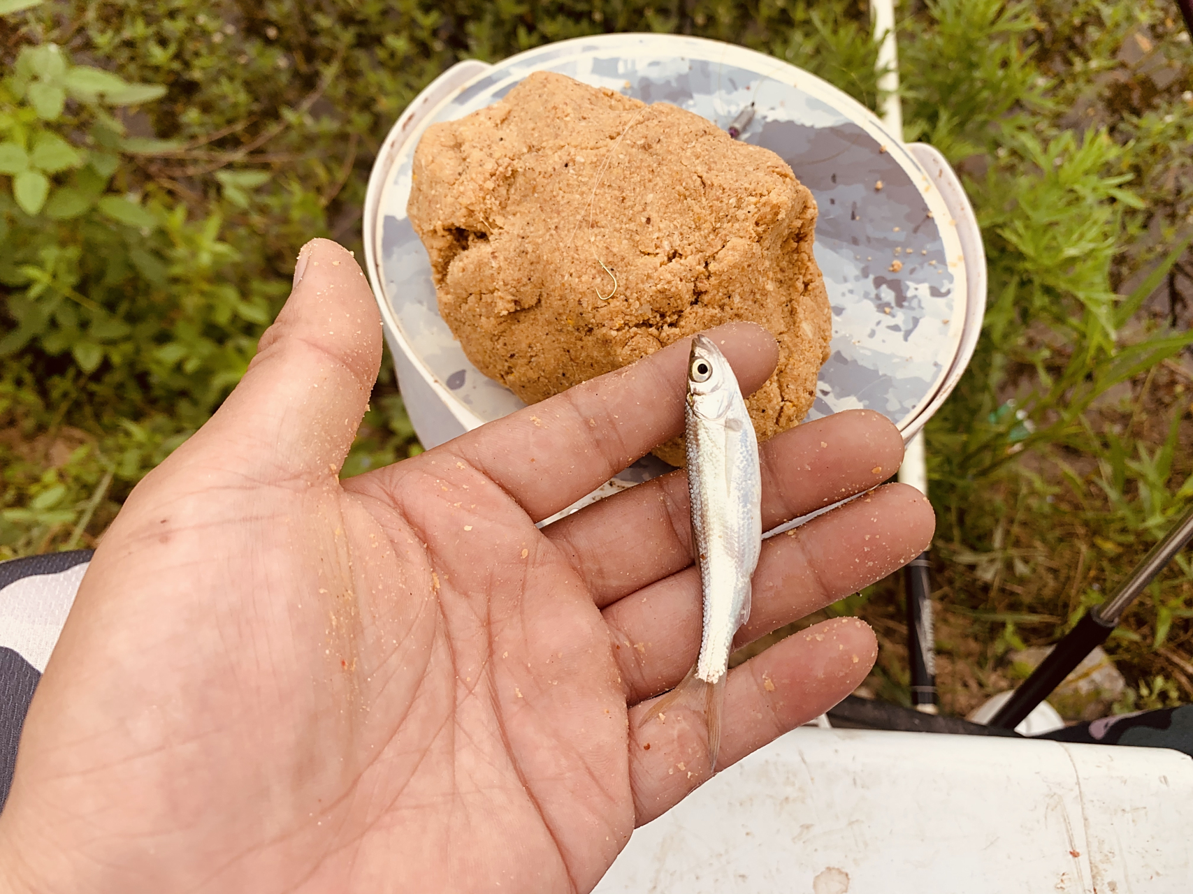 开的饵料松散(饵料开的太散了是怎么回事)