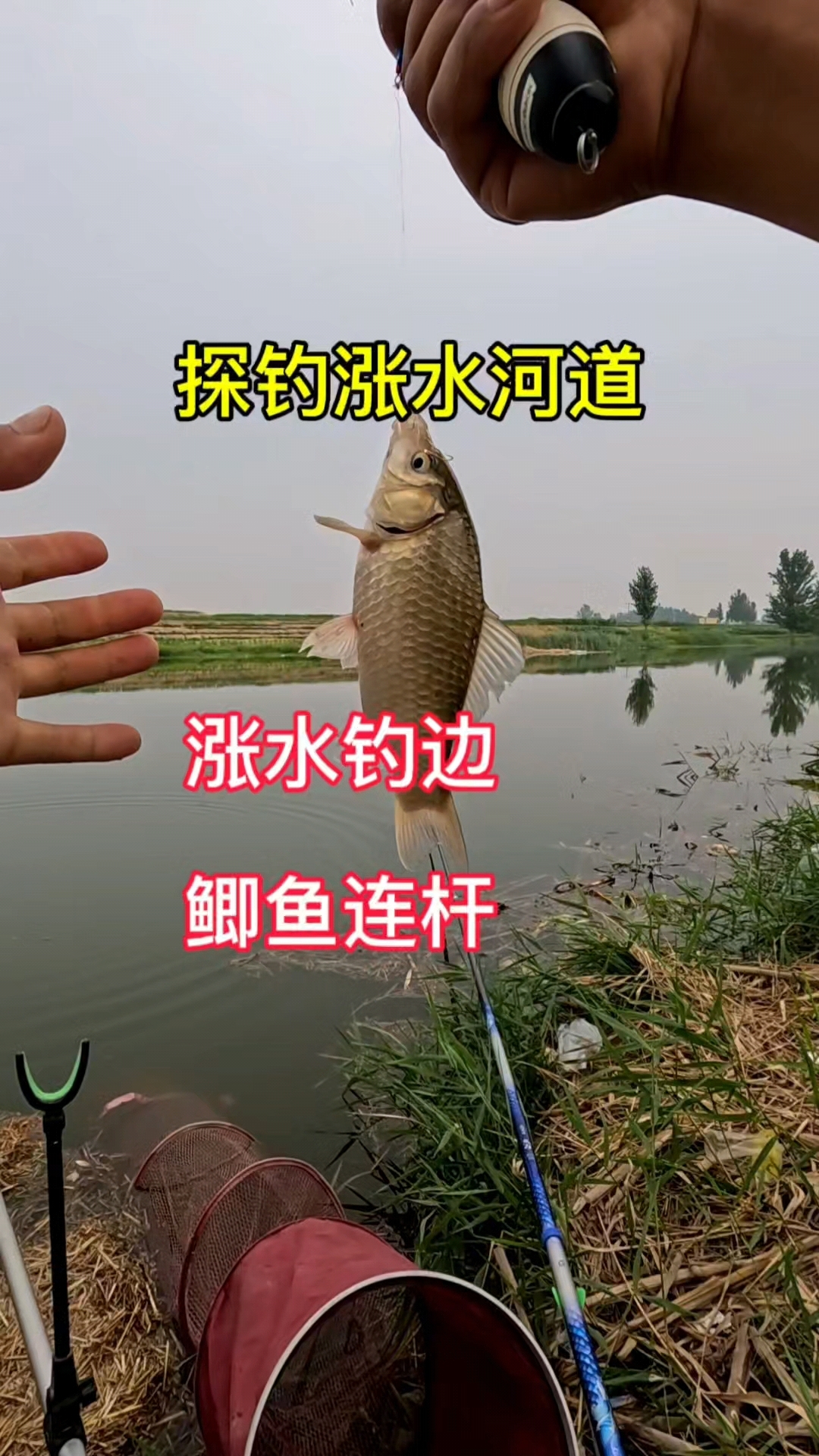 夏季涨水钓鱼技巧(夏季涨水钓鱼技巧图解)