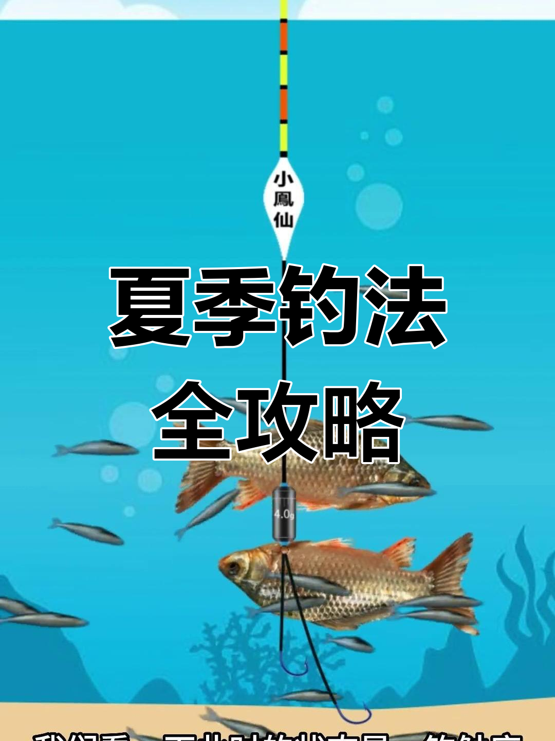夏季无风钓鱼技巧(夏天无风天怎么钓鱼)