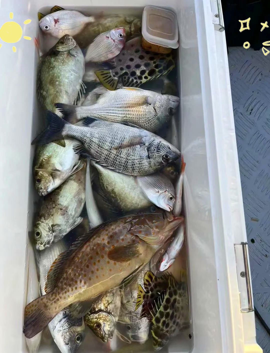 饶平海钓群(饶平一日游最佳路线图)