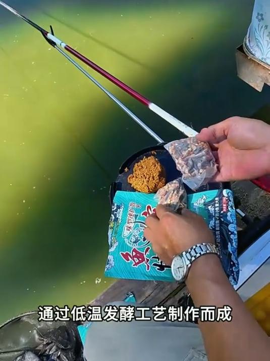 用饵料打窝(用饵料打窝怎么样)