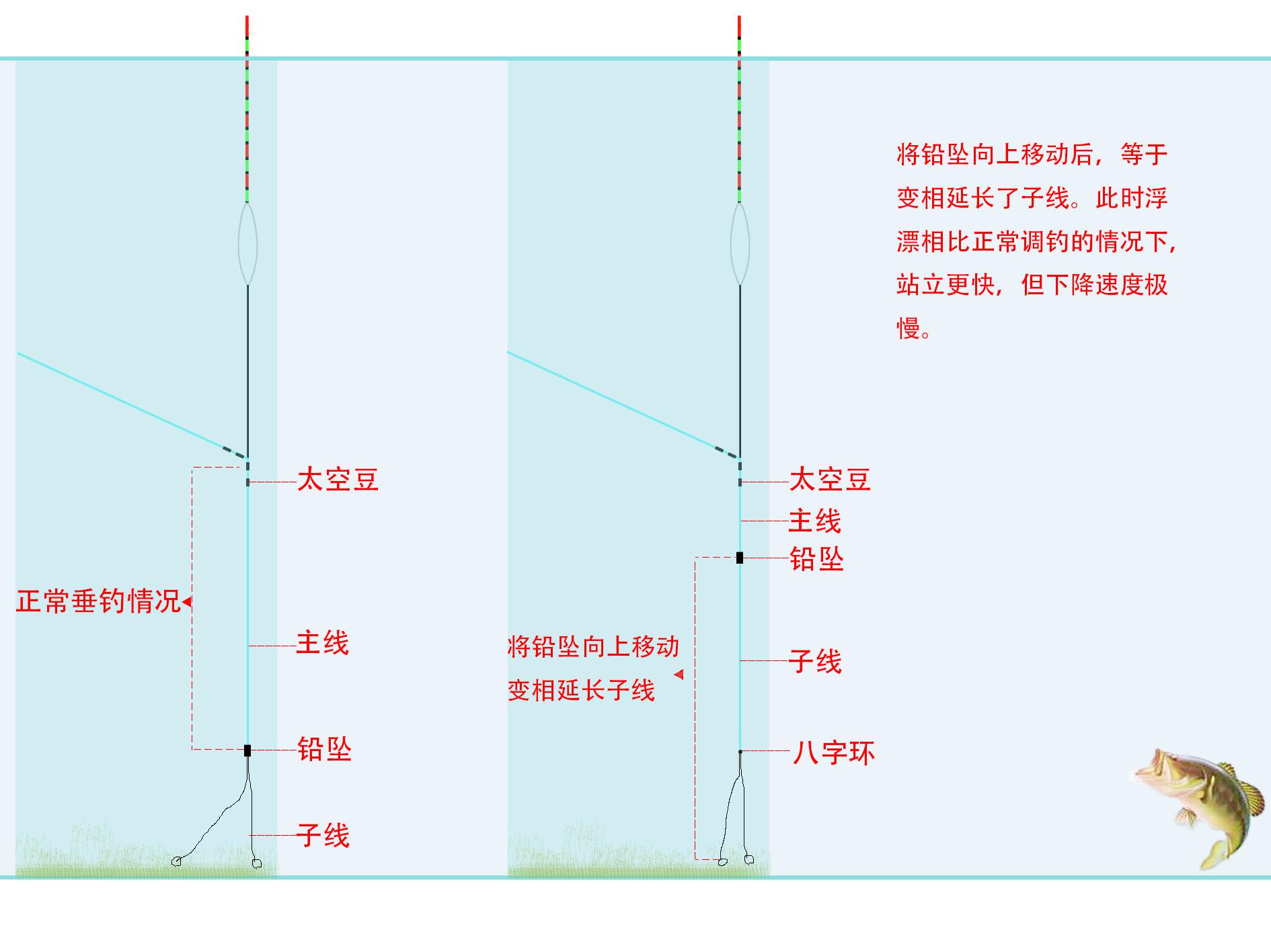 飞钓入门技巧(飞钓技法教学视频)