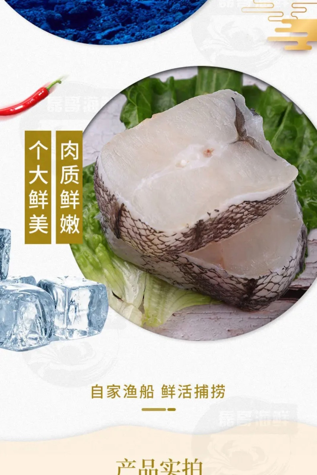 鳕鱼饵料什么(鳕鱼喜欢吃什么饵料)