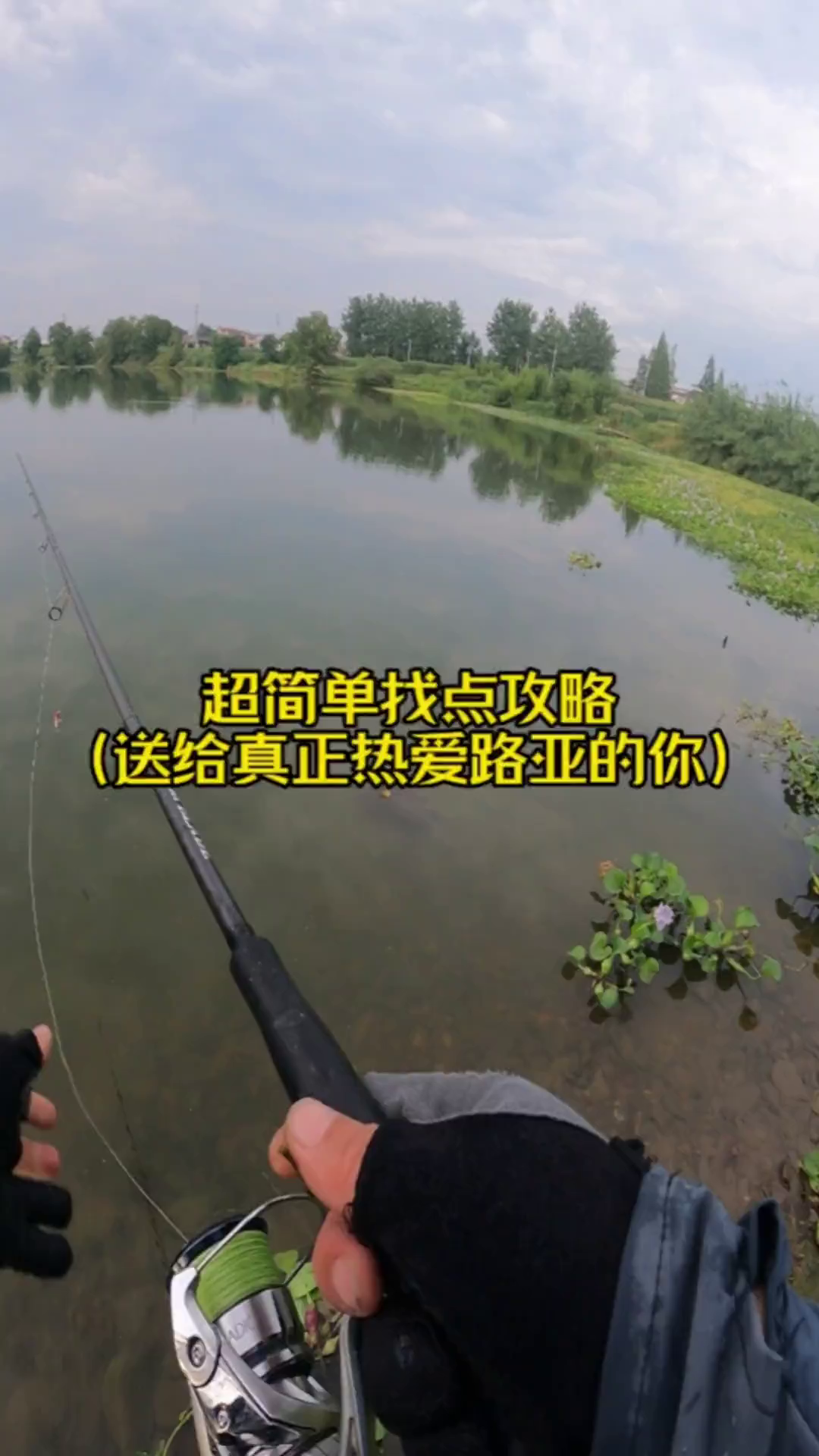 路亚标点视频(路亚鱼标点)