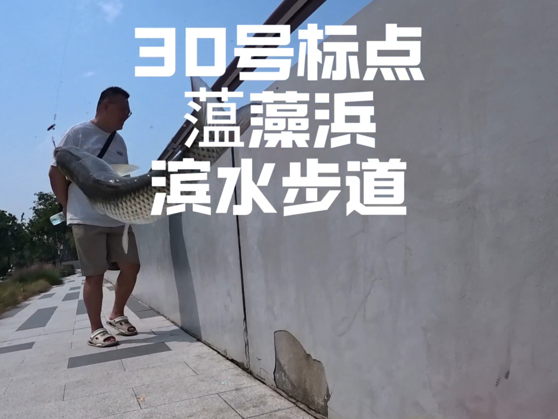 路亚标点视频(路亚鱼标点)