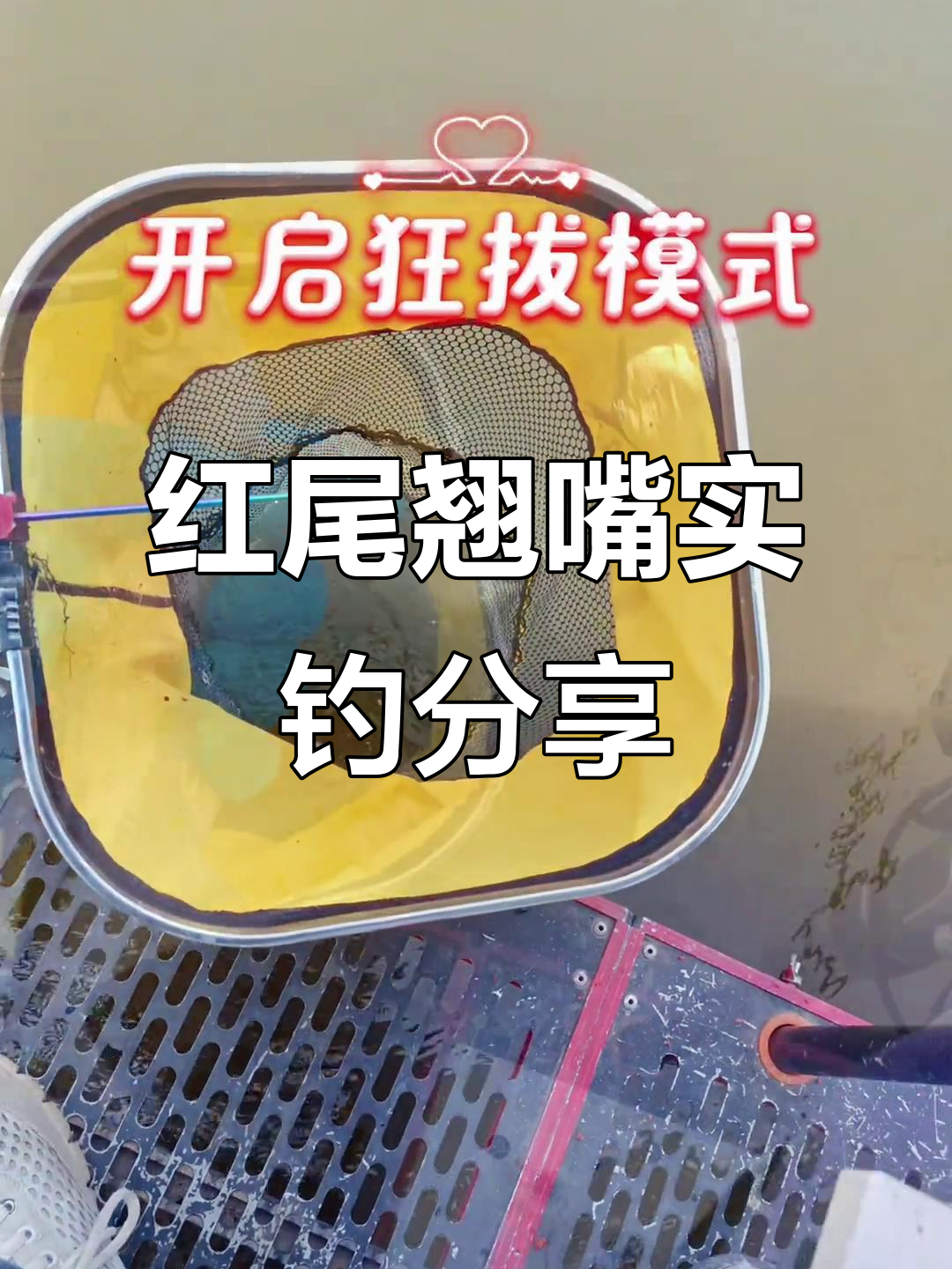 筏钓红尾鱼技巧(冬季筏钓红尾子技巧)