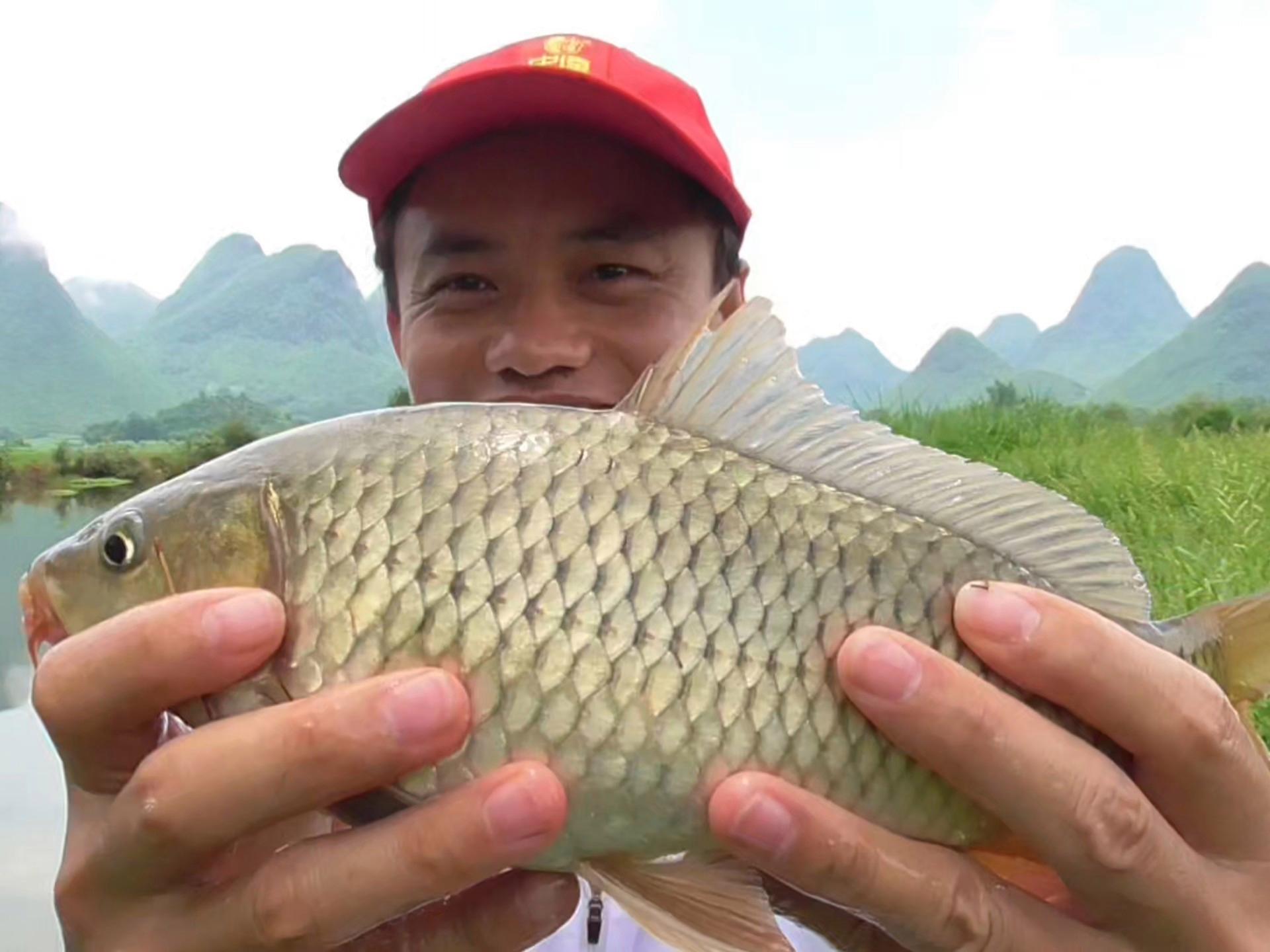 溜鲤鱼技巧(溜鲤鱼视频)