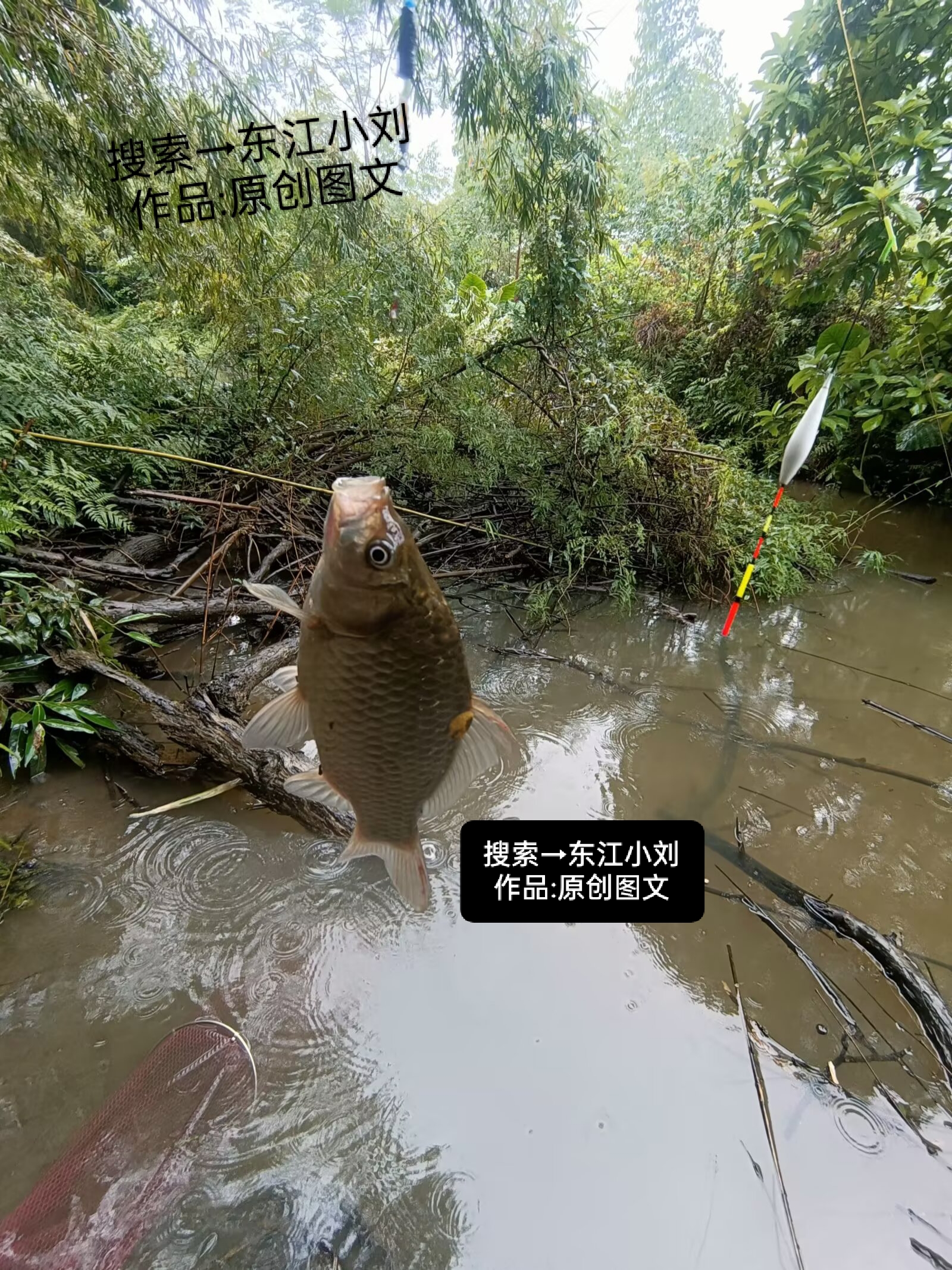 秋冬野塘钓鱼技巧视频(秋天野塘怎样钓鲫鱼)