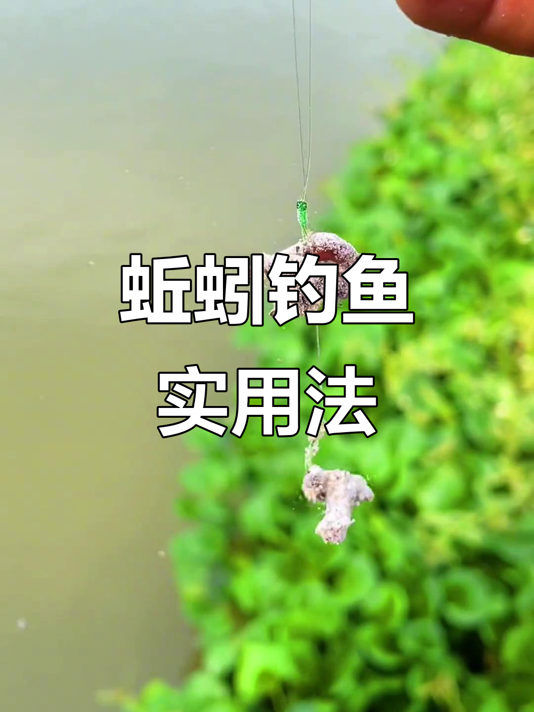 江河蚯蚓钓鱼技巧(江河钓鱼用蚯蚓好钓吗)