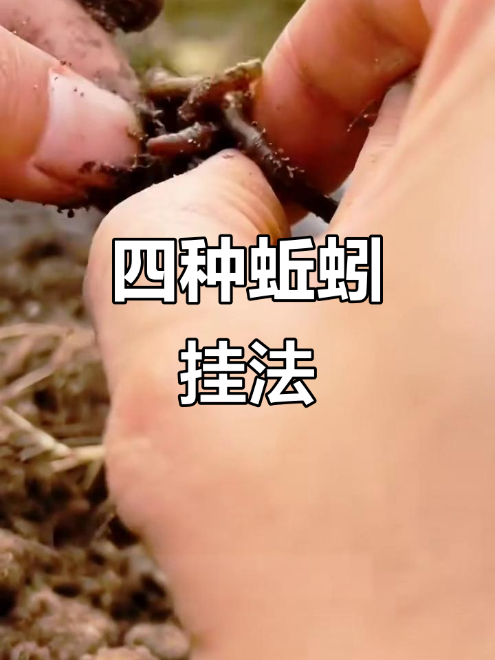 江河蚯蚓钓鱼技巧(江河钓鱼用蚯蚓好钓吗)