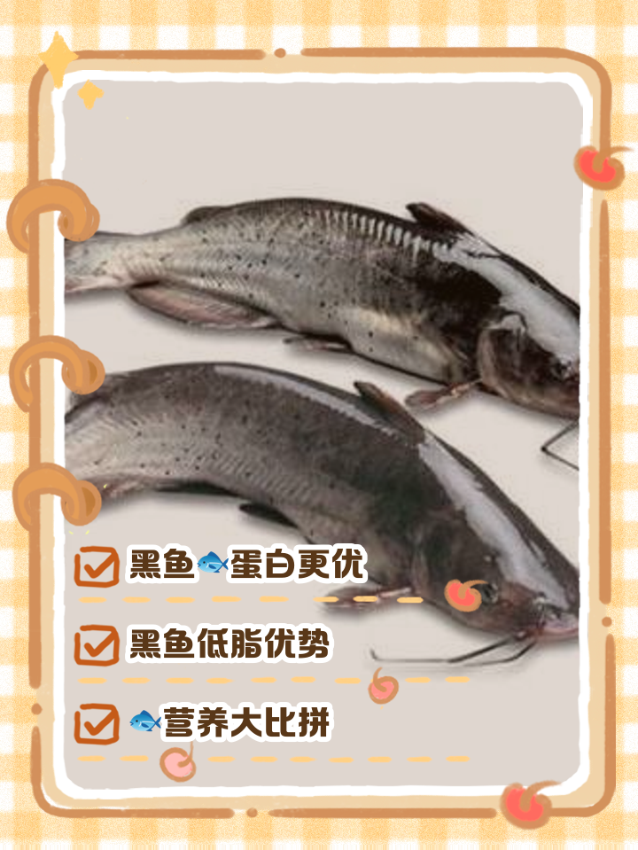 梭边鱼的钓鱼技巧(为什么不建议吃梭边鱼)
