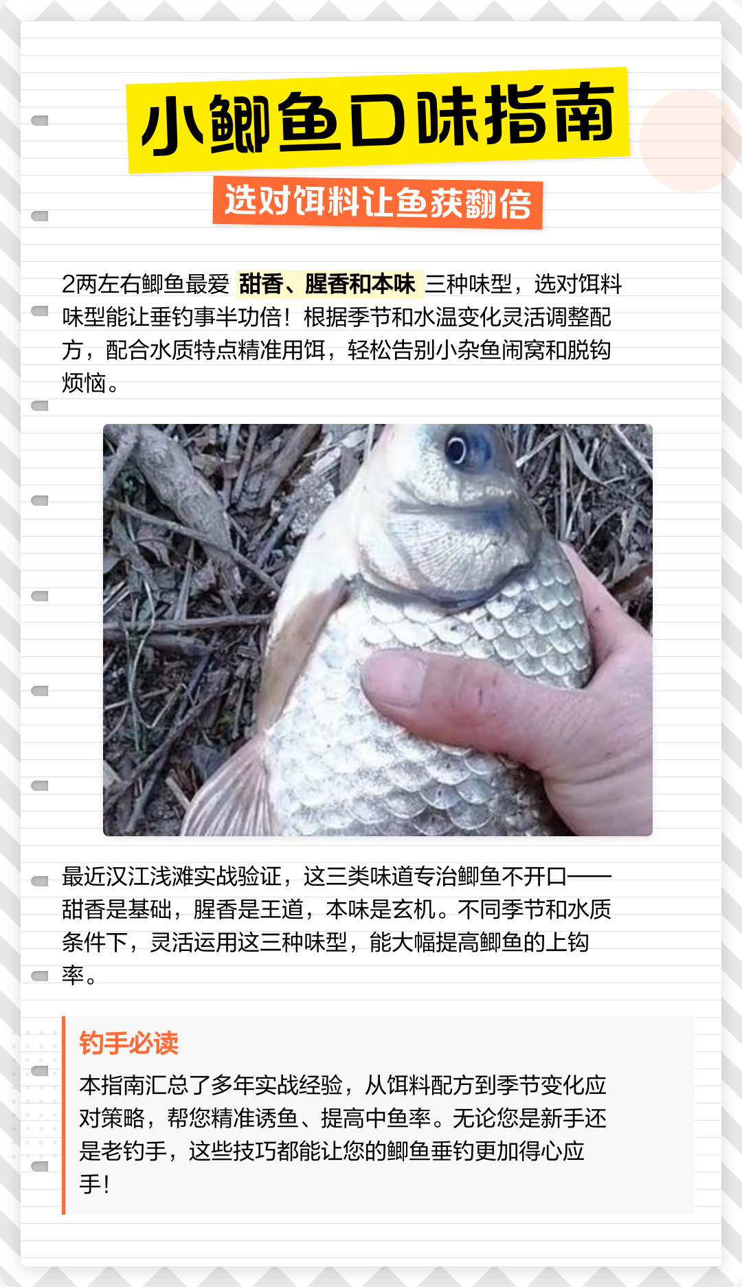 专钓小杂鱼饵料配方(钓小杂鱼用什么饵料比较好)
