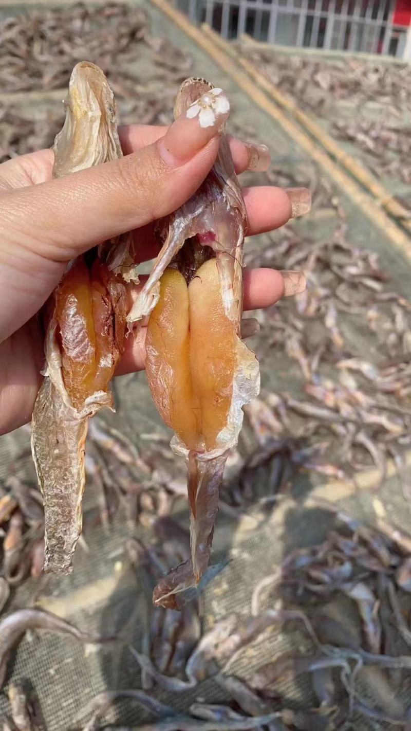 潍坊海钓狗光(潍坊欢乐海海钓平台收费吗)