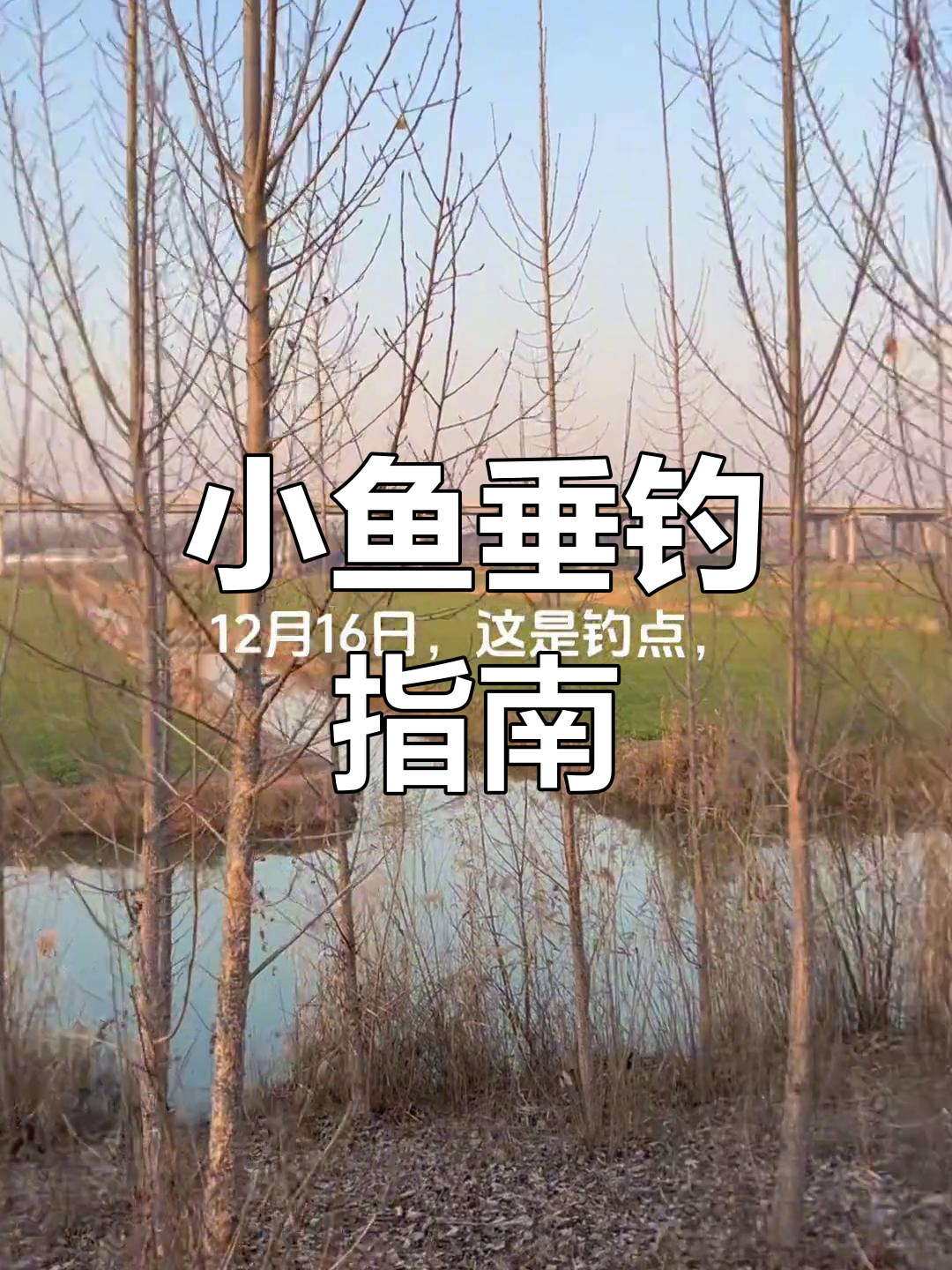 钩小鱼技巧(怎么钩小鱼视频)