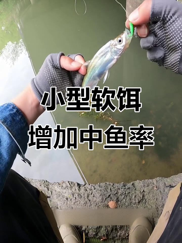 钩小鱼技巧(怎么钩小鱼视频)