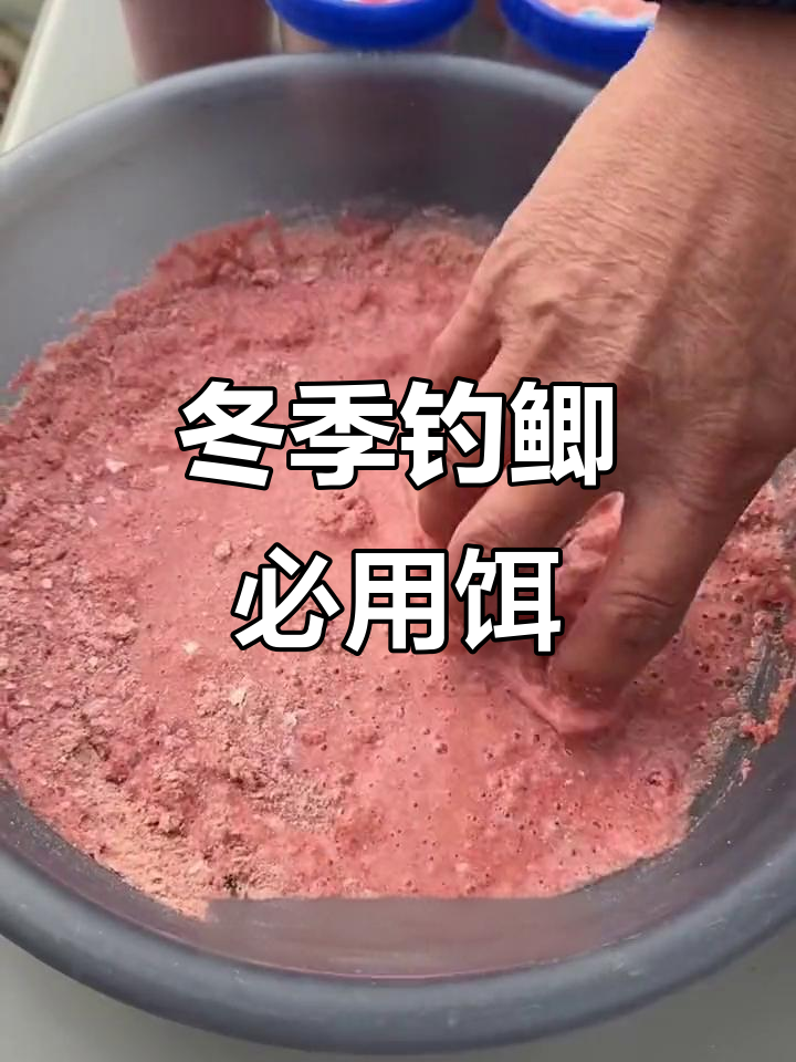 冬季饵料怎么搭配(冬季饵料配方大全)