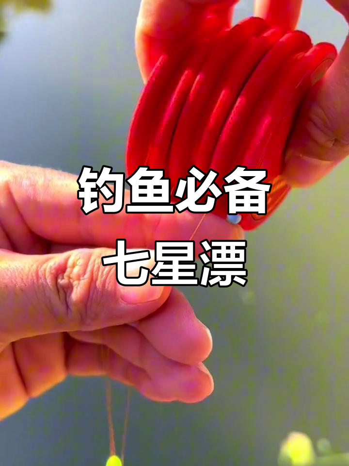 传统钓大板鲫技巧(钓鱼大板鲫视频)