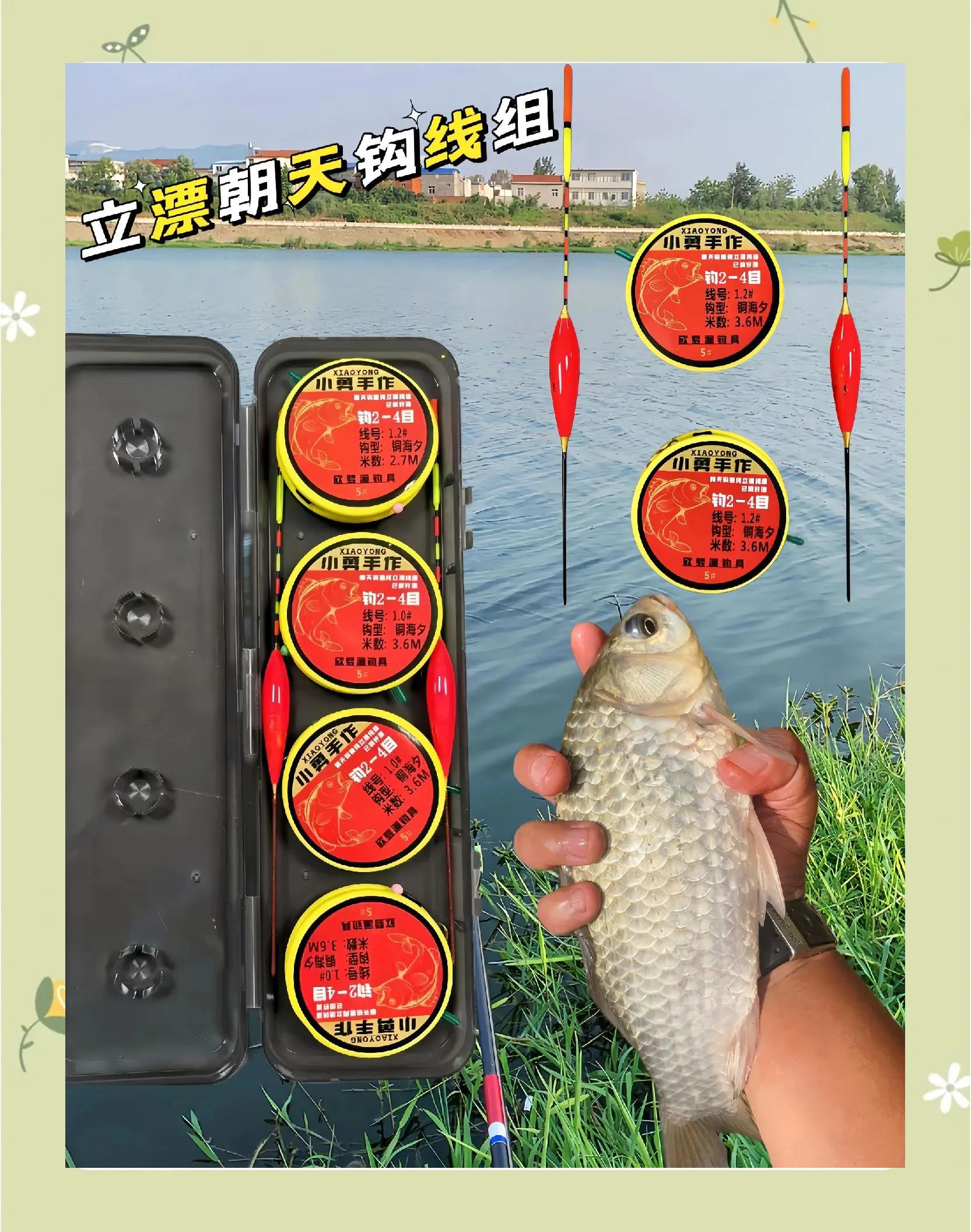传统钓大板鲫技巧(钓鱼大板鲫视频)