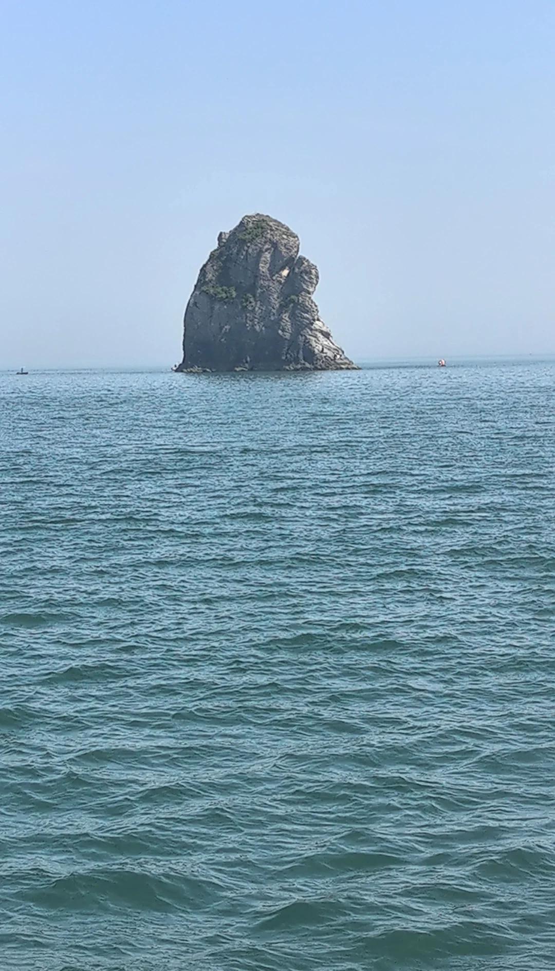 大连哪里海钓的地方好(大连哪里海钓的地方好钓鱼)