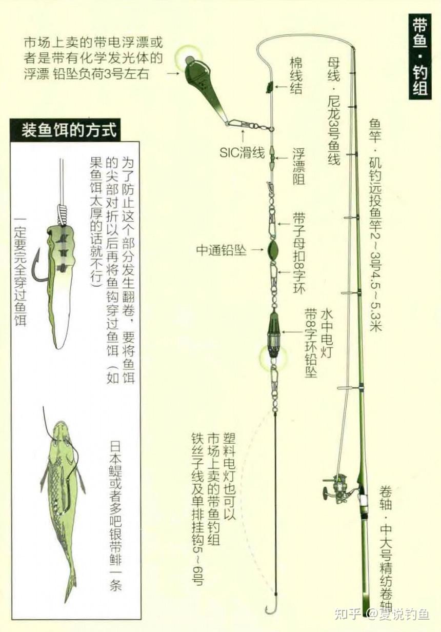 海钓带鱼技巧(海钓带鱼技巧和方法)