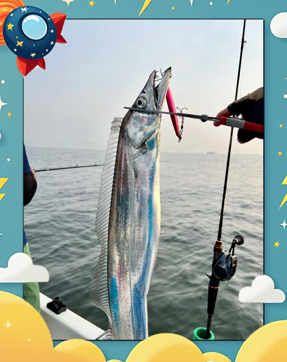 海钓带鱼技巧(海钓带鱼技巧和方法)