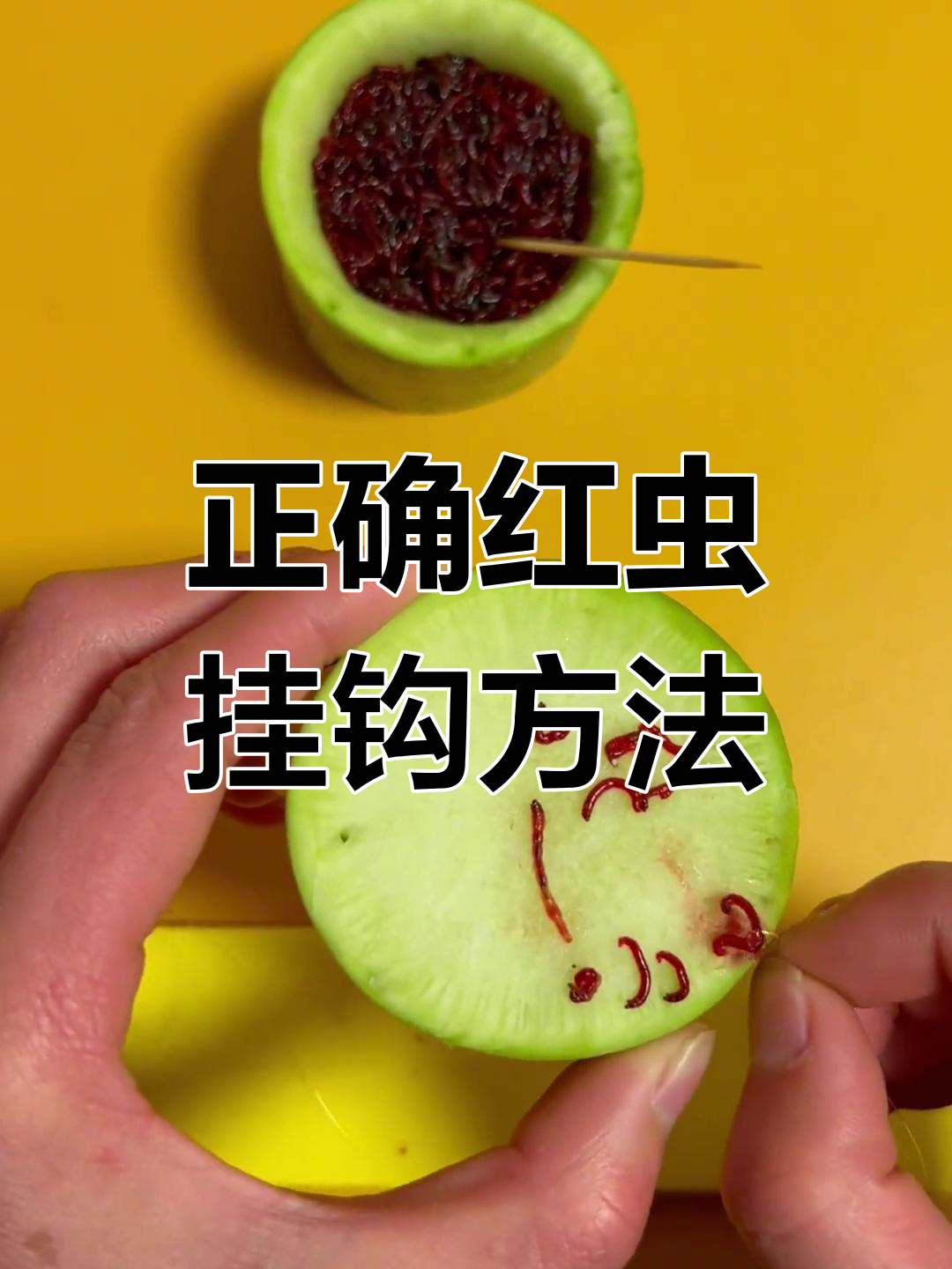 挂青虫技巧(钓鱼用青虫怎样挂钩)