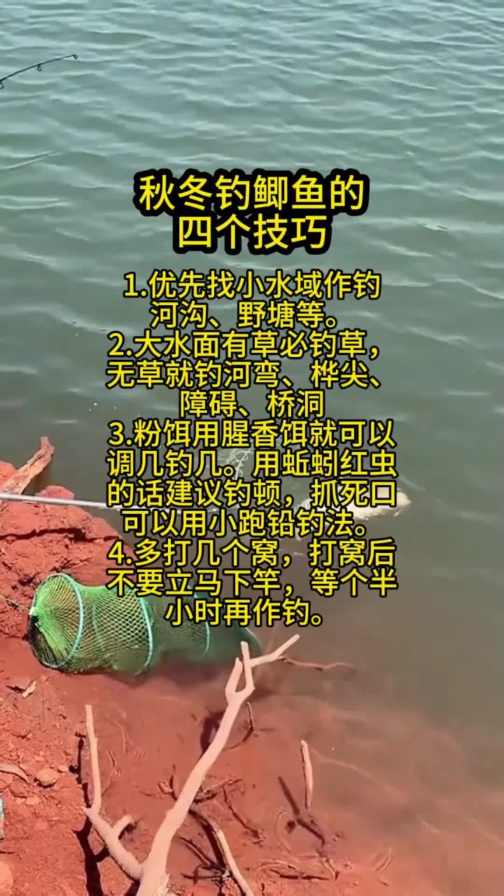 钓鲫鱼方法和技巧大全(钓鲫鱼最好的方法是什么)