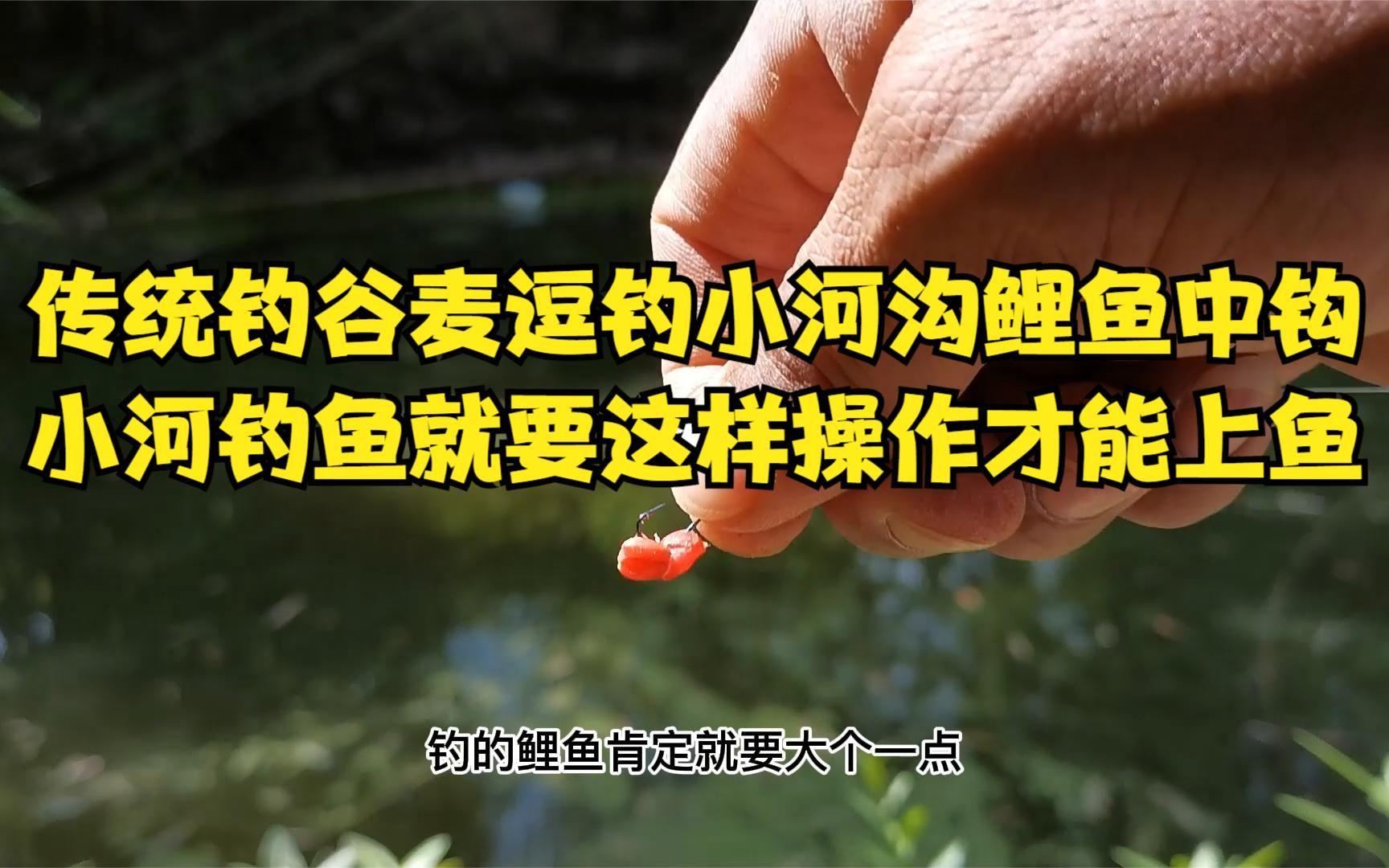 在小河里钓鱼技巧(在小河里钓鱼技巧视频)