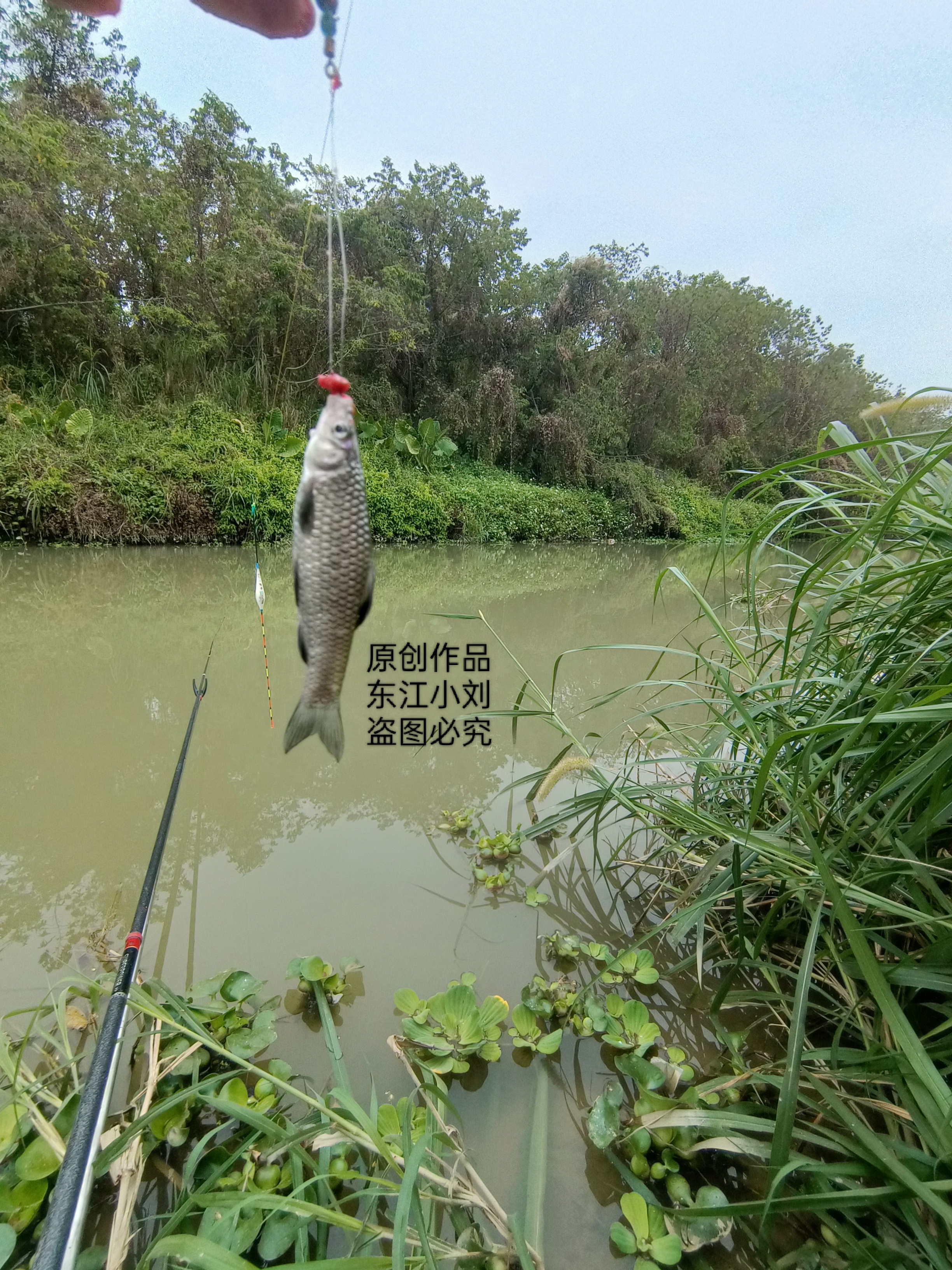 在小河里钓鱼技巧(在小河里钓鱼技巧视频)