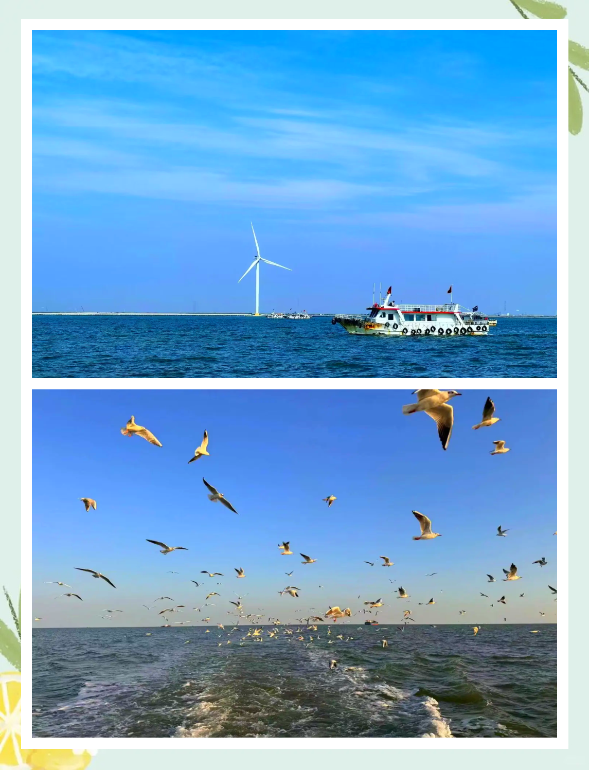 天津塘沽海钓地点(塘沽海钓的地方有哪些2020)