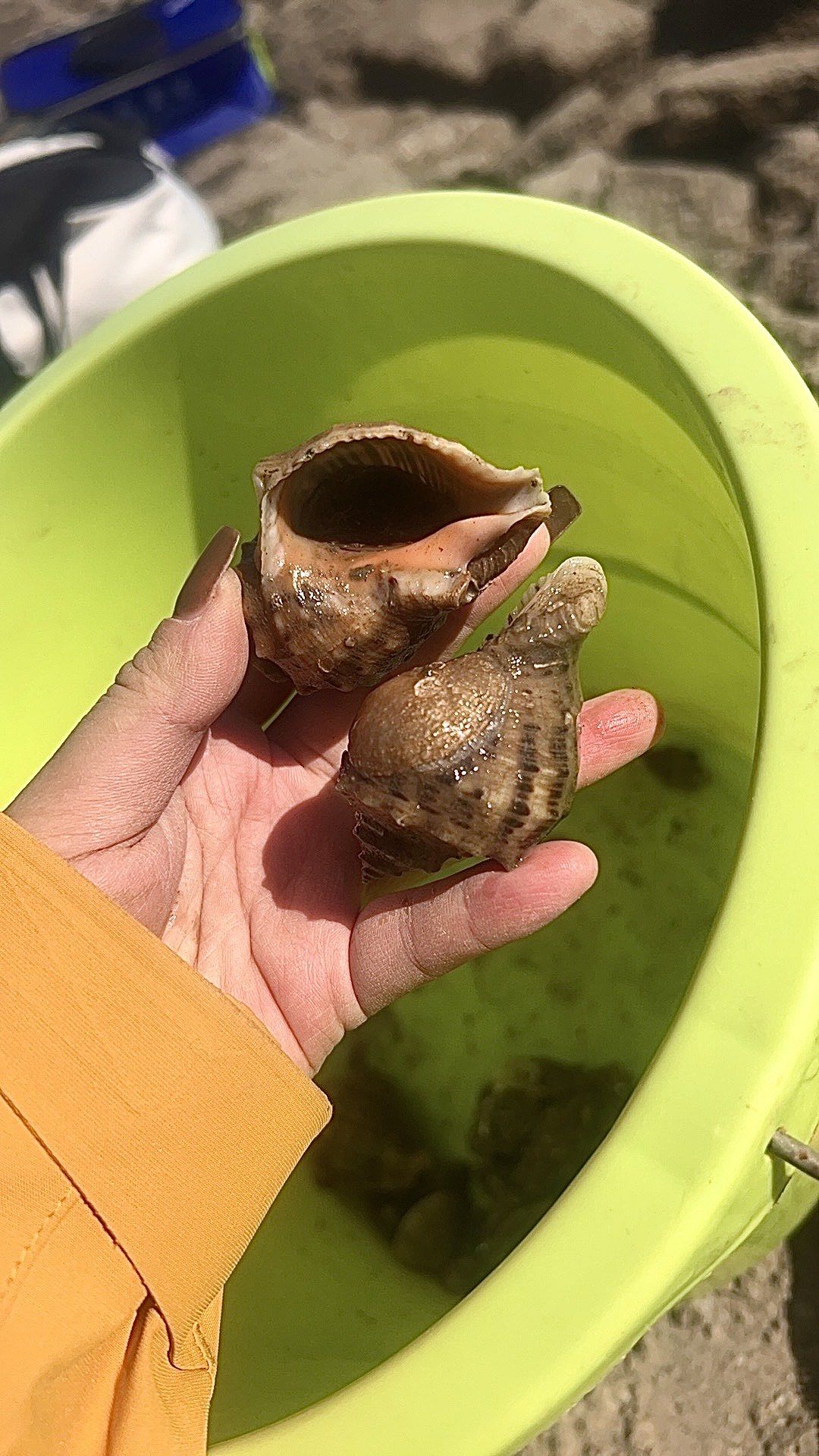 天津塘沽海钓地点(塘沽海钓的地方有哪些2020)