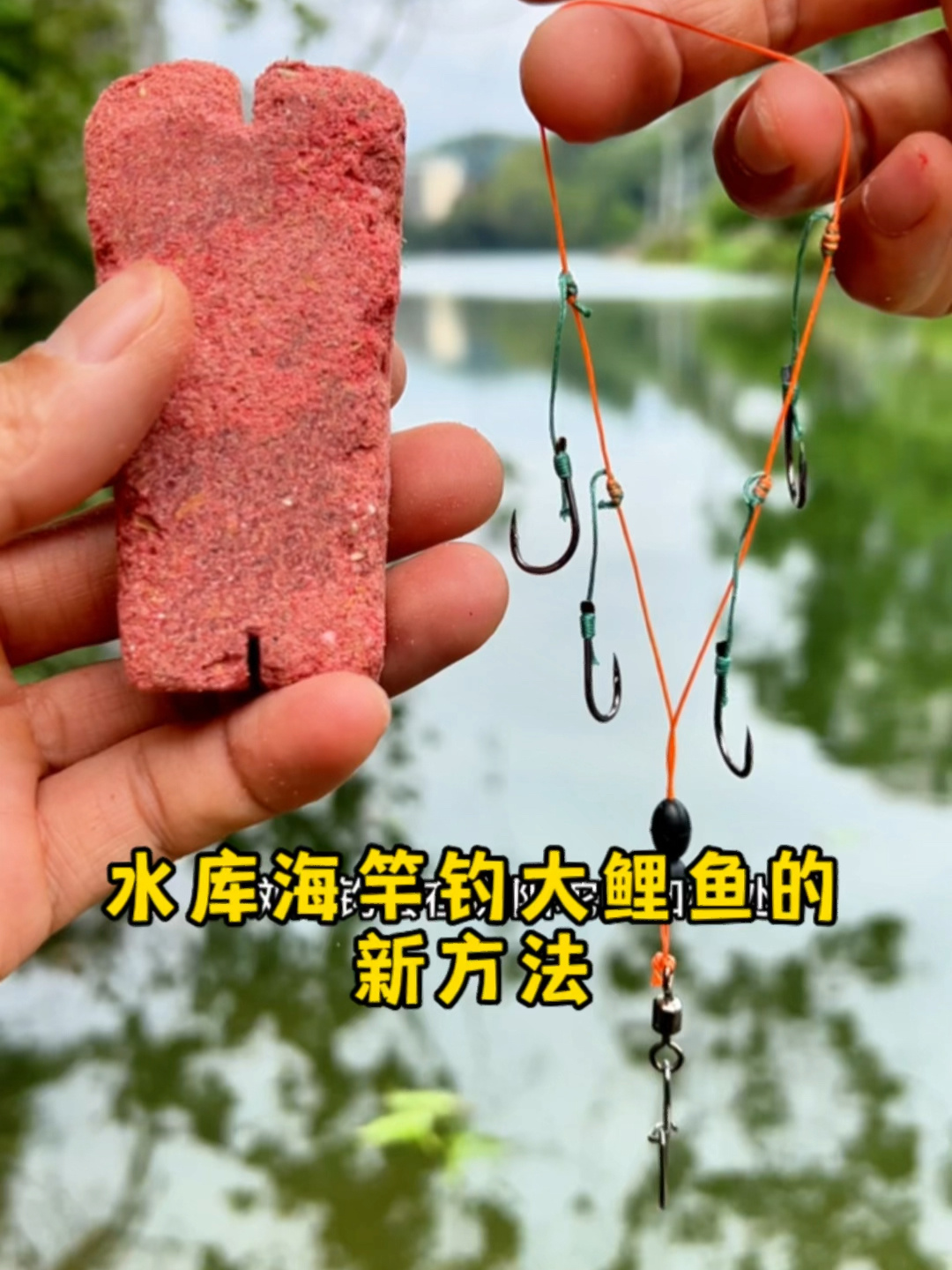 秋末水库钓鲤鱼技巧(秋季水库如何钓鲤鱼)