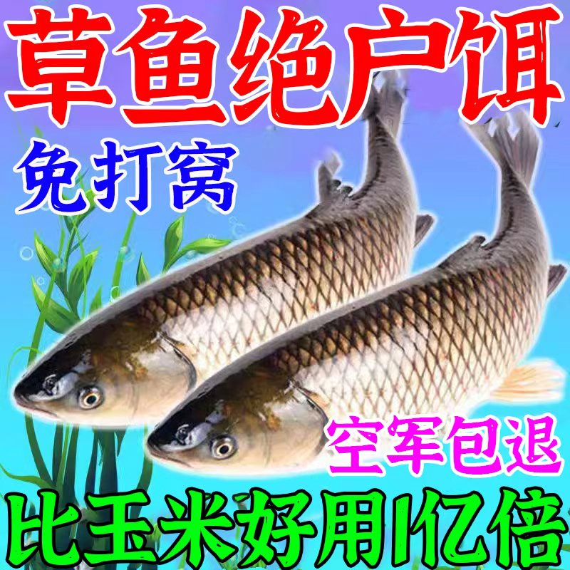 掉草鱼的饵料(掉草鱼的饵料有哪些)