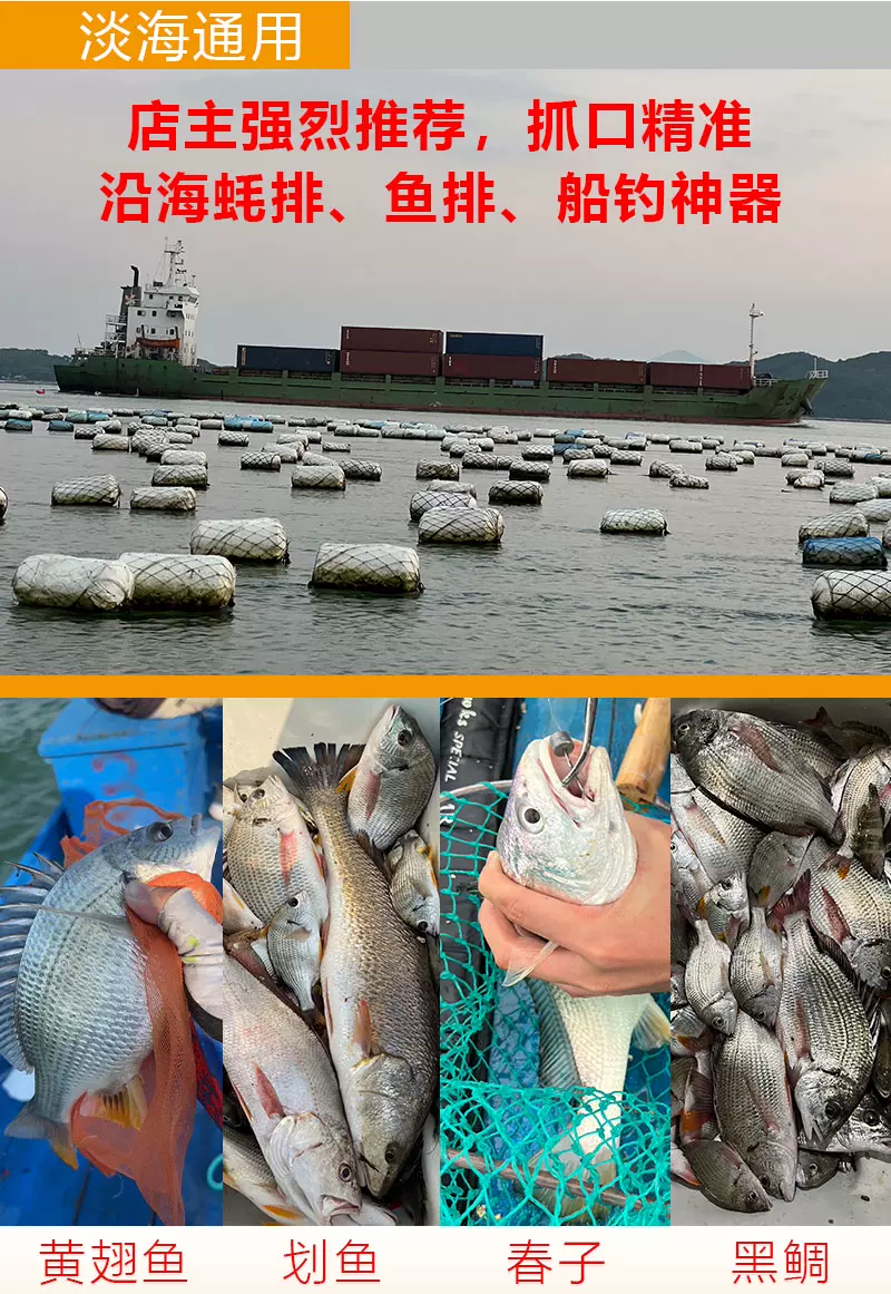 海钓鲷类鱼技巧(海雕鱼怎么钓)