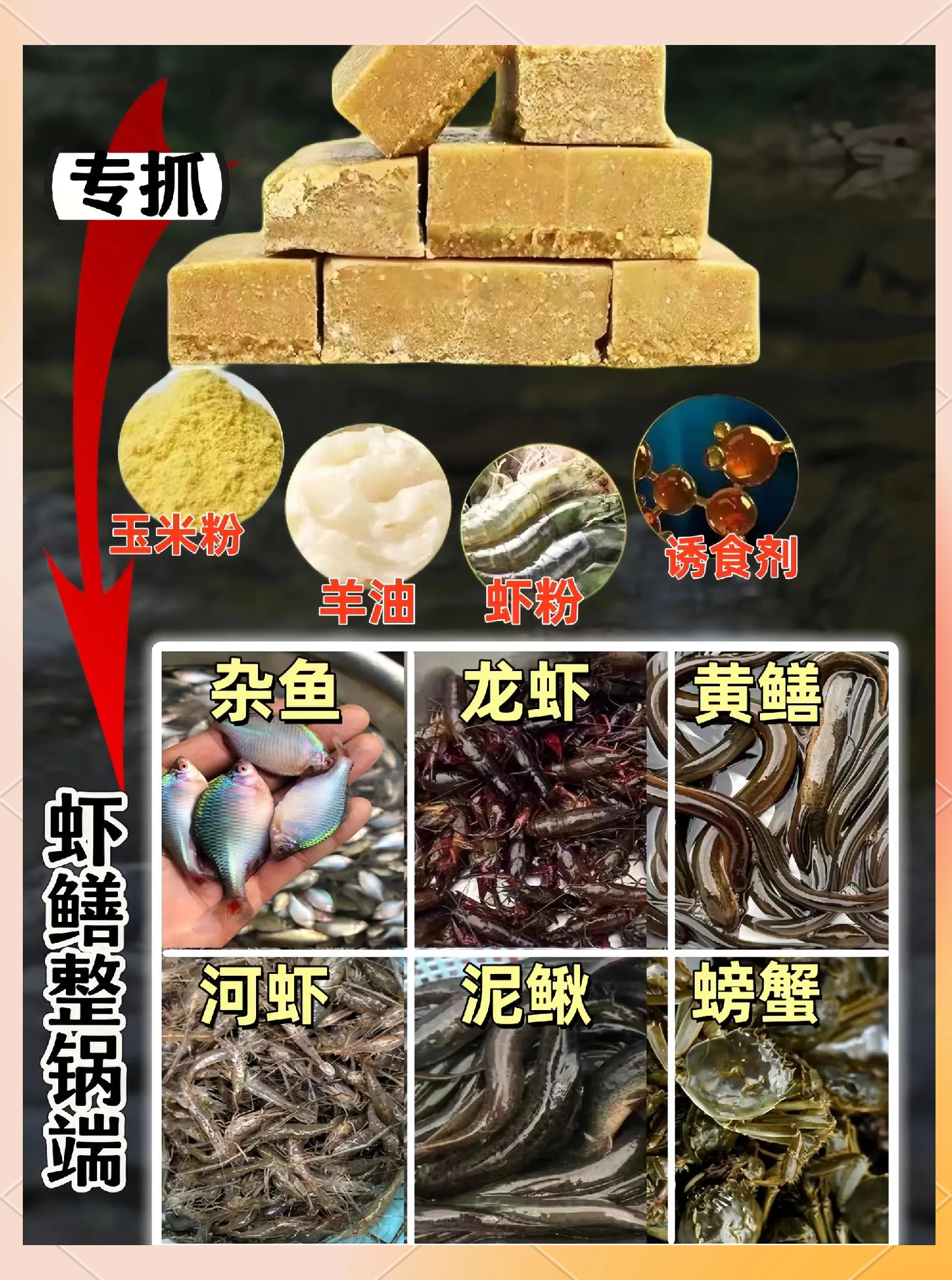 羊油怎样制作饵料(羊油怎样制作饵料好吃)