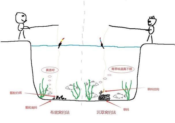 钓浮草鱼技巧(野钓浮钓草鱼技巧)