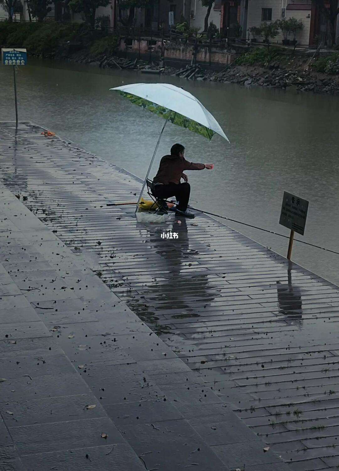 下雨海钓(下雨海钓图片)