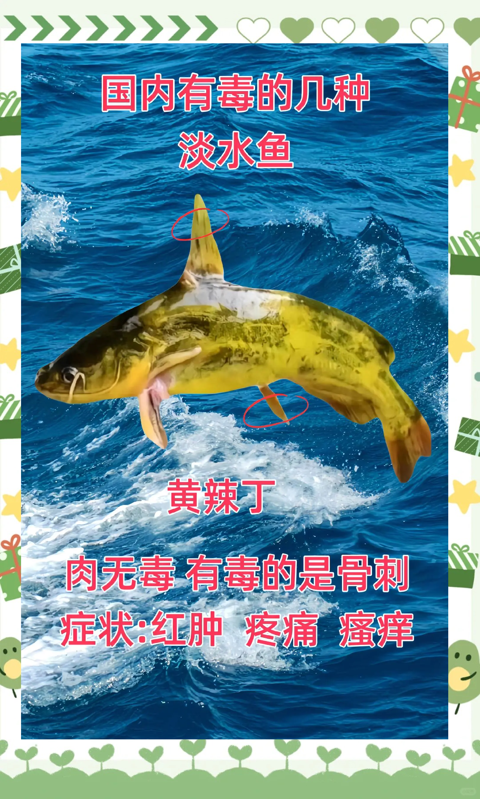 海钓预防毒鱼(海钓预防毒鱼的措施)