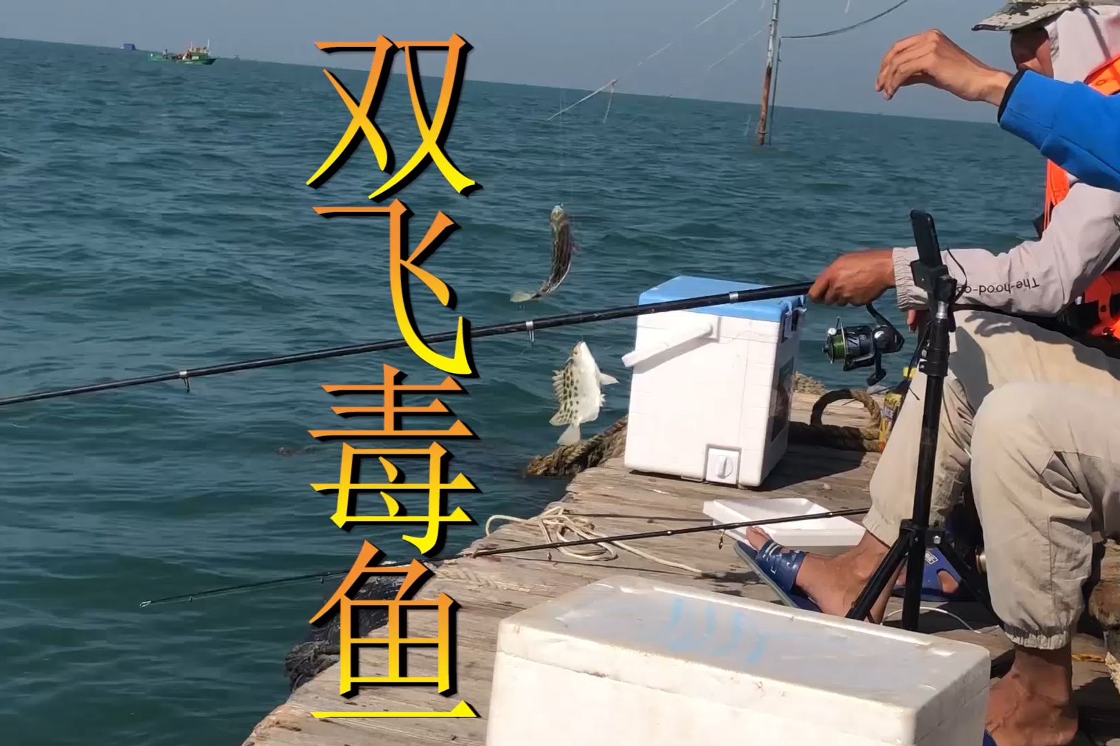 海钓预防毒鱼(海钓预防毒鱼的措施)