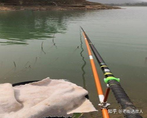 夏季水库钓鲤鱼技巧(夏季水库钓鲫鱼技巧)