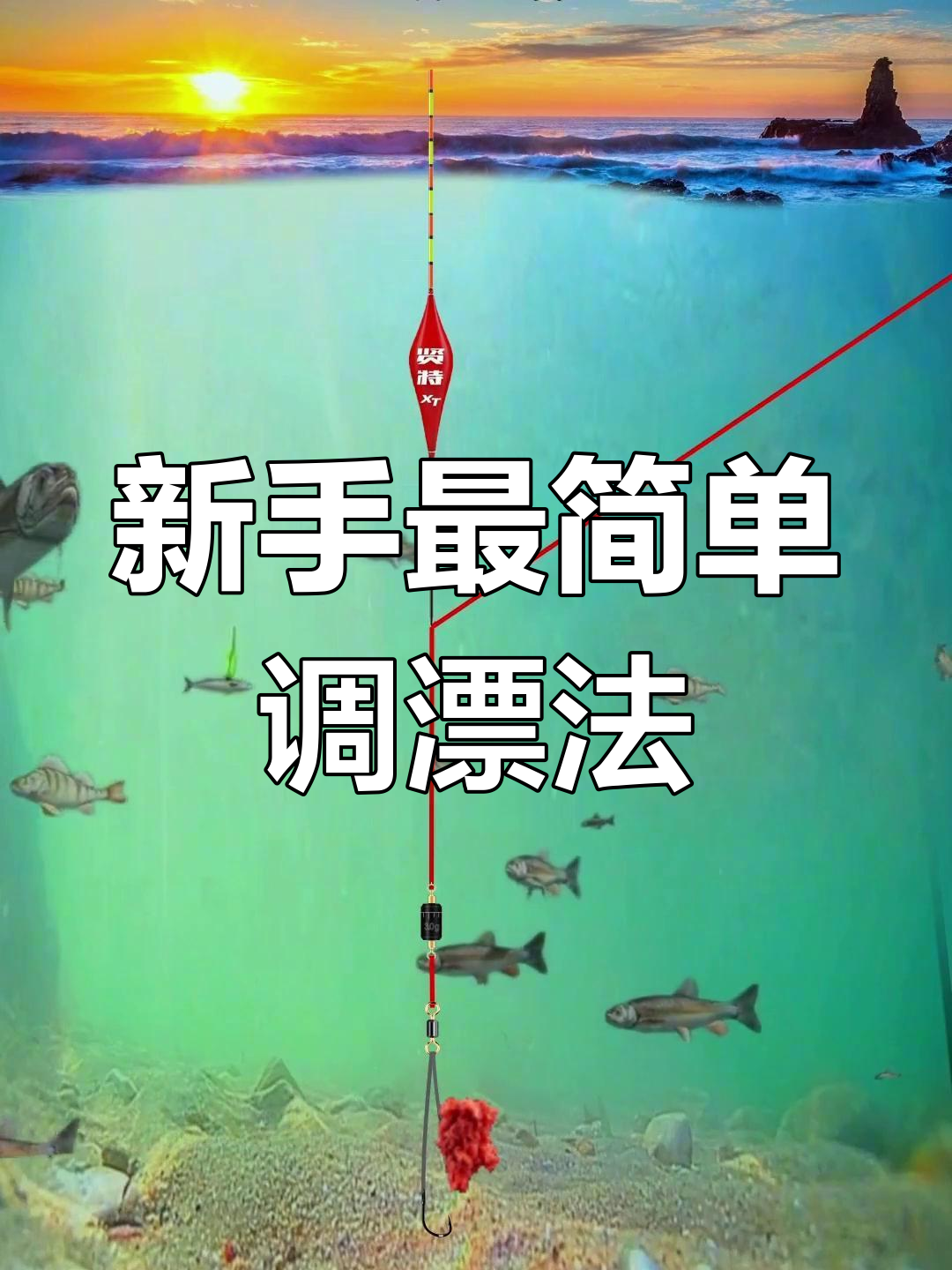 钓小鲢鱼技巧视频(钓小鲢鱼技巧视频大全)