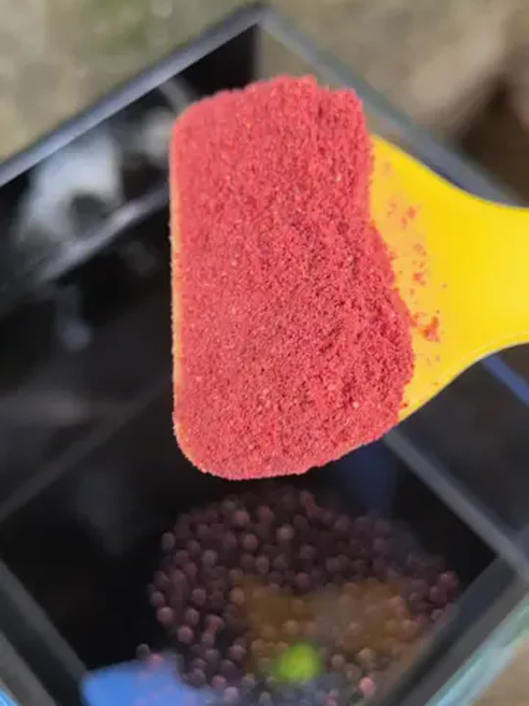 海钓用红虫粉好吗(为什么红虫不能用手碰)