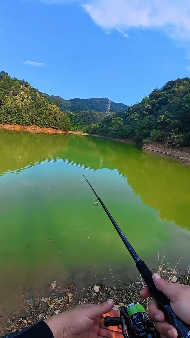 日本路亚抛投(日本路亚高手抛投)