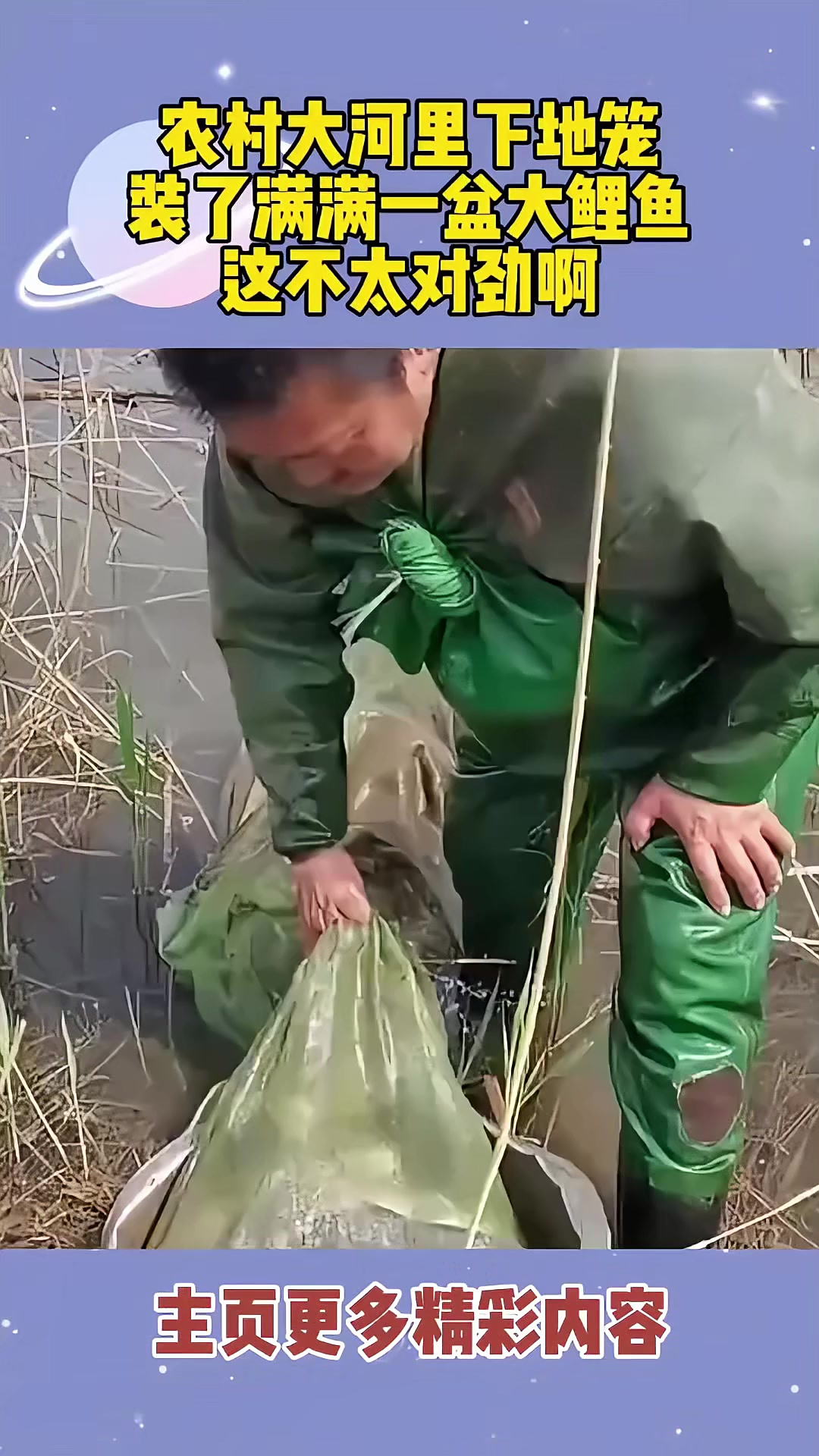 地笼捕鲤鱼技巧(用地笼抓鲤鱼放什么食好)