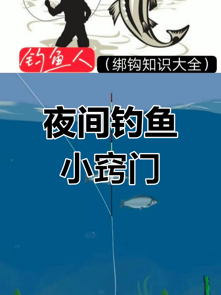 秋天如何水库夜钓技巧(秋天晚上水库钓鱼深水还是浅水)