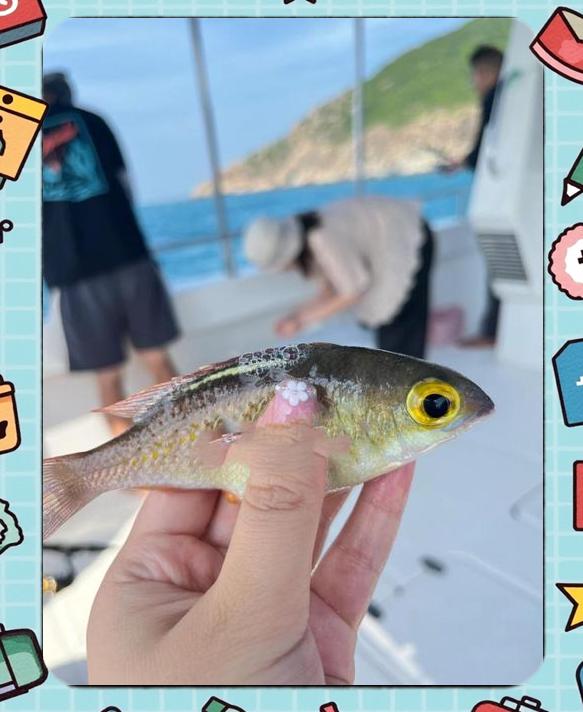 海口包船海钓费用(海口出海海钓)