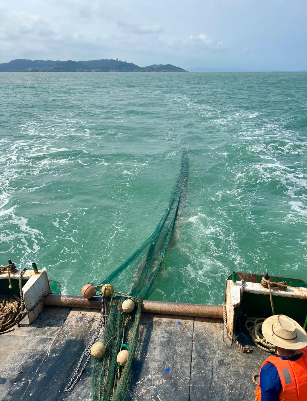 洞头海钓位置(洞头野钓钓点)